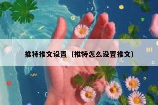 推特推文设置（推特怎么设置推文） 第1张