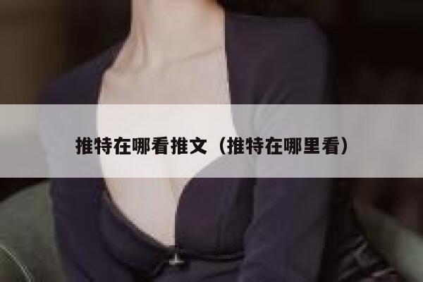 推特在哪看推文（推特在哪里看） 第1张