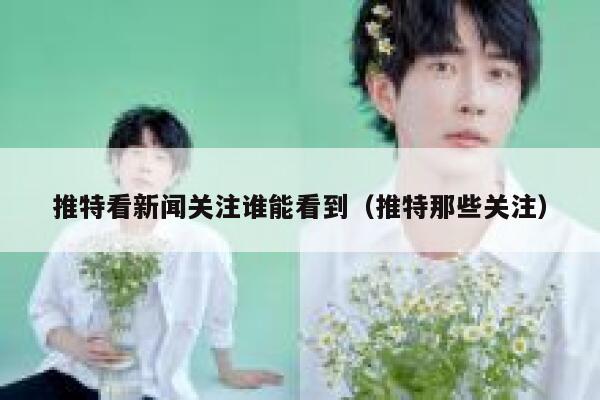 推特看新闻关注谁能看到（推特那些关注） 第1张