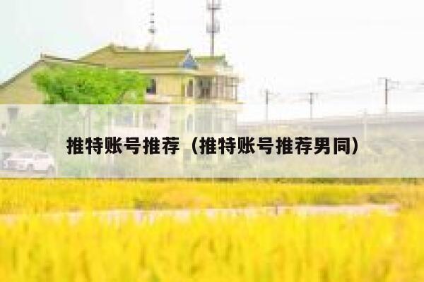 推特账号推荐（推特账号推荐男同） 第1张