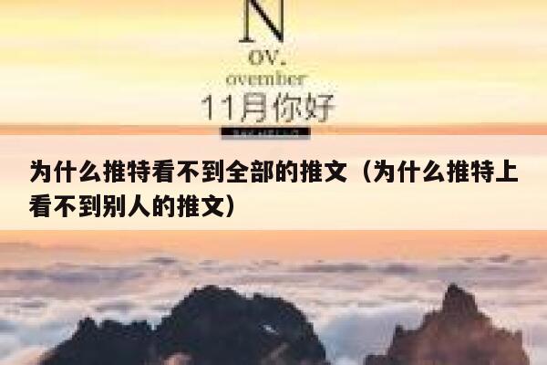 为什么推特看不到全部的推文（为什么推特上看不到别人的推文） 第1张