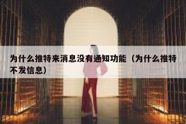 为什么推特来消息没有通知功能（为什么推特不发信息） 第1张