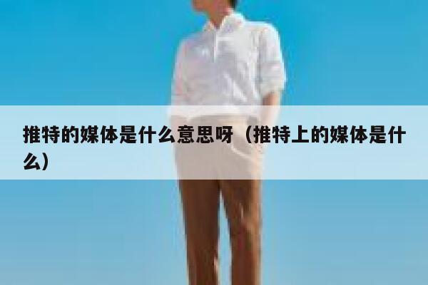 推特的媒体是什么意思呀（推特上的媒体是什么） 第1张