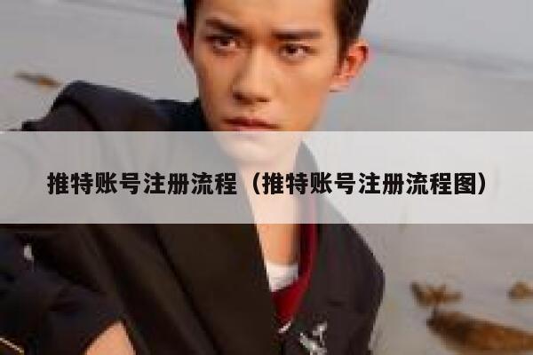 推特账号注册流程（推特账号注册流程图） 第1张