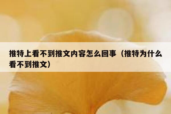 推特上看不到推文内容怎么回事（推特为什么看不到推文） 第1张