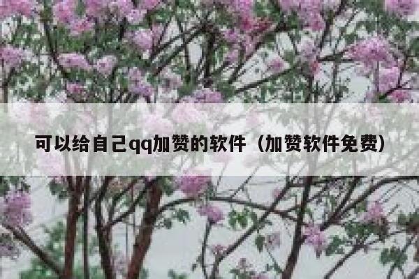 可以给自己qq加赞的软件（加赞软件免费） 第1张