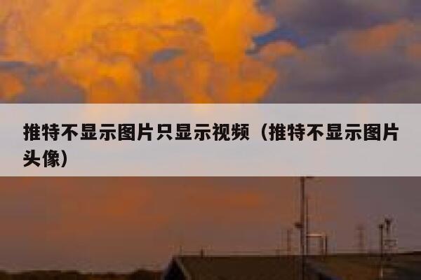 推特不显示图片只显示视频（推特不显示图片头像） 第1张