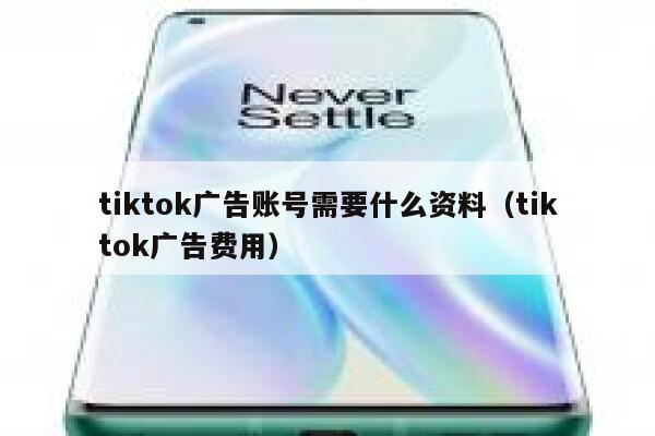 tiktok广告账号需要什么资料（tiktok广告费用） 第1张
