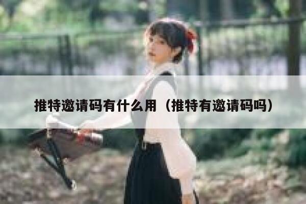 推特邀请码有什么用（推特有邀请码吗） 第1张