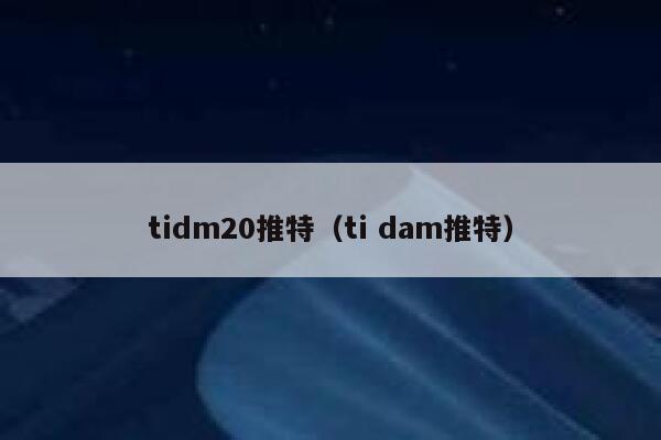 tidm20推特（ti dam推特） 第1张