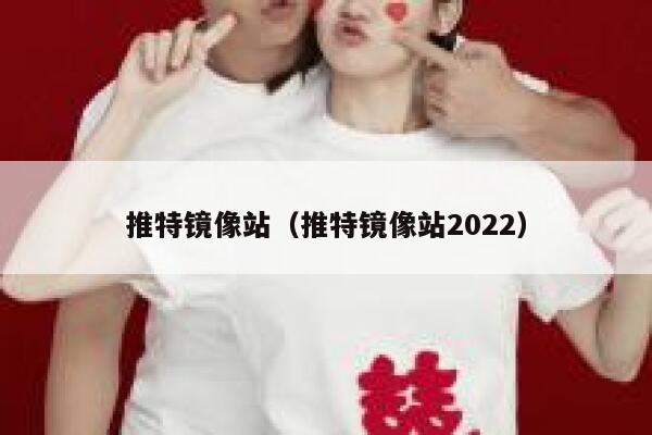 推特镜像站（推特镜像站2022） 第1张