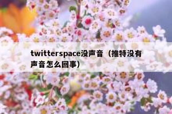 twitterspace没声音（推特没有声音怎么回事） 第1张