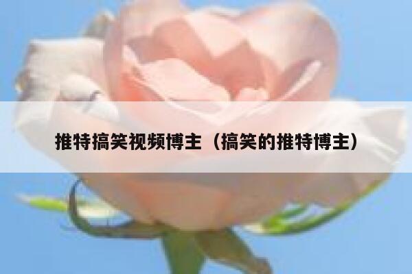 推特搞笑视频博主（搞笑的推特博主） 第1张