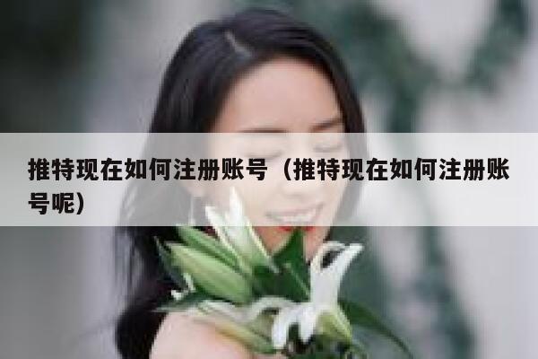 推特现在如何注册账号（推特现在如何注册账号呢） 第1张