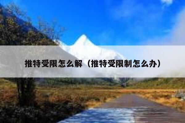 推特受限怎么解（推特受限制怎么办） 第1张