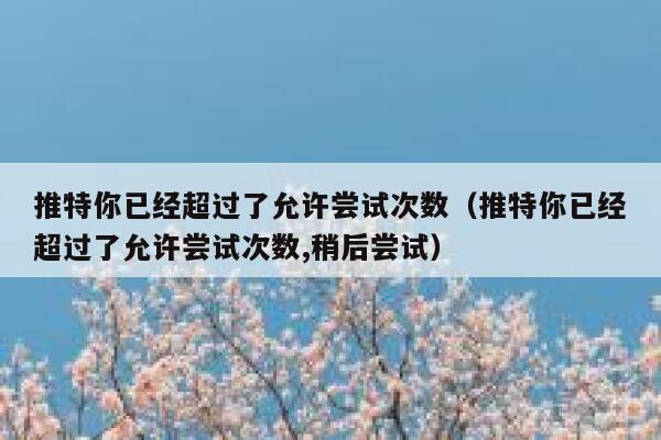 推特你已经超过了允许尝试次数（推特你已经超过了允许尝试次数,稍后尝试） 第1张