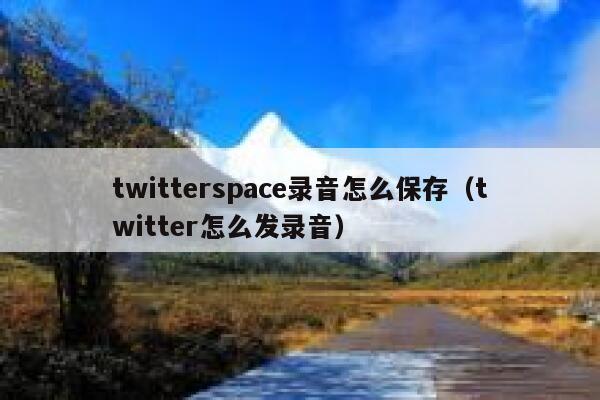twitterspace录音怎么保存（twitter怎么发录音） 第1张