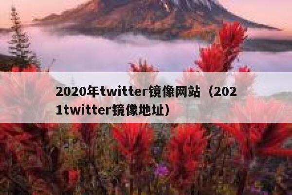 2020年twitter镜像网站（2021twitter镜像地址） 第1张