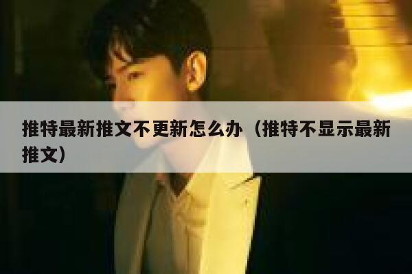 推特最新推文不更新怎么办（推特不显示最新推文） 第1张