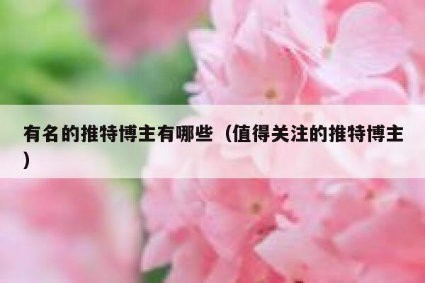 有名的推特博主有哪些（值得关注的推特博主） 第1张