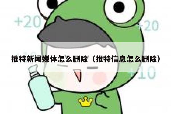 推特新闻媒体怎么删除（推特信息怎么删除） 第1张