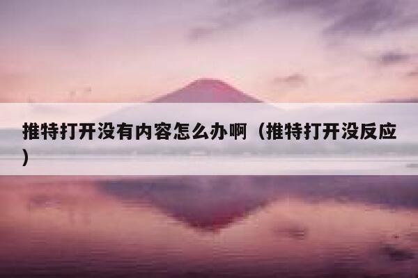 推特打开没有内容怎么办啊（推特打开没反应） 第1张