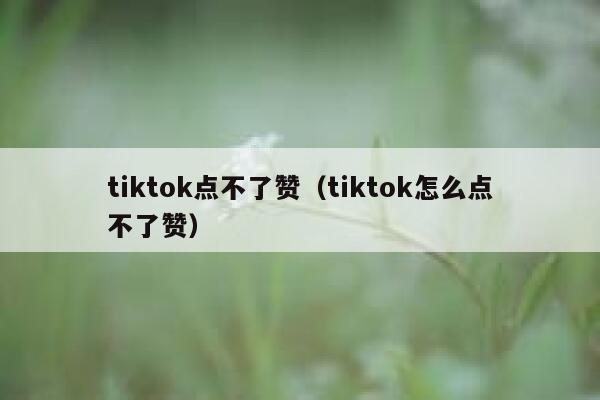 tiktok点不了赞（tiktok怎么点不了赞） 第1张