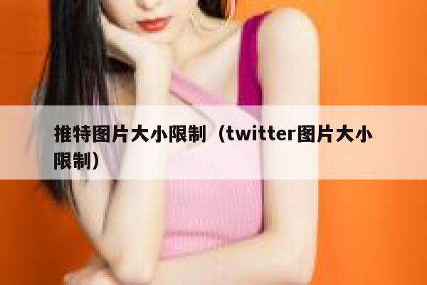 推特图片大小限制（twitter图片大小限制） 第1张