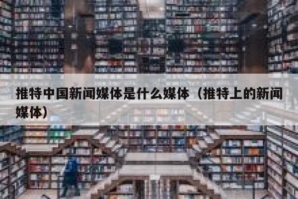推特中国新闻媒体是什么媒体（推特上的新闻媒体） 第1张