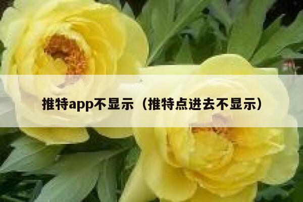 推特app不显示（推特点进去不显示） 第1张