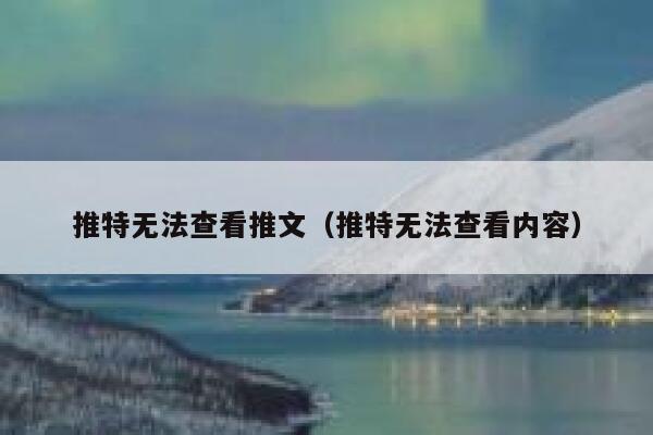 推特无法查看推文（推特无法查看内容） 第1张