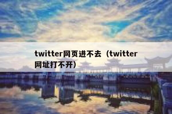 twitter网页进不去（twitter网址打不开） 第1张
