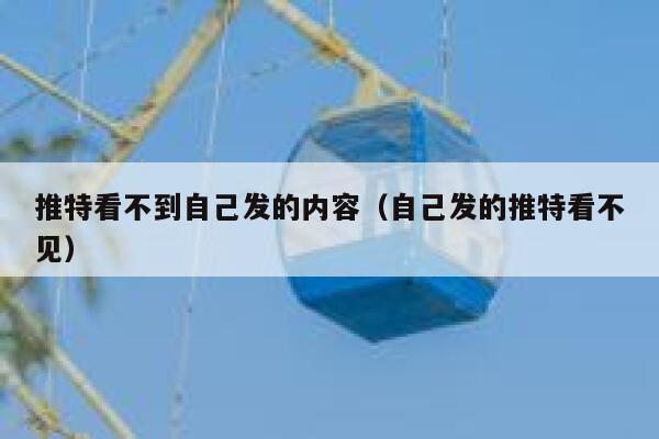 推特看不到自己发的内容（自己发的推特看不见） 第1张