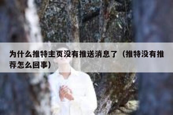 为什么推特主页没有推送消息了（推特没有推荐怎么回事） 第1张