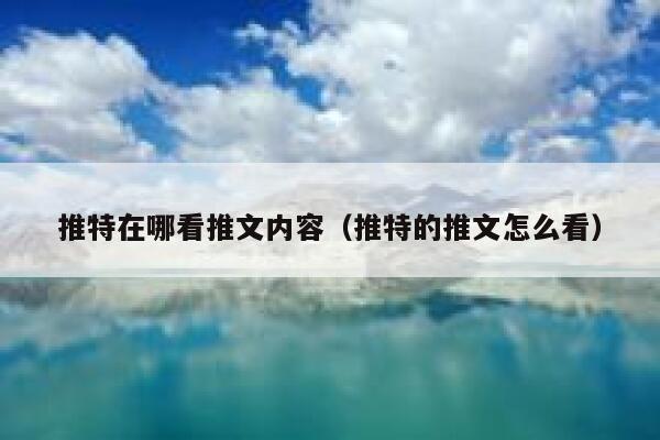 推特在哪看推文内容（推特的推文怎么看） 第1张