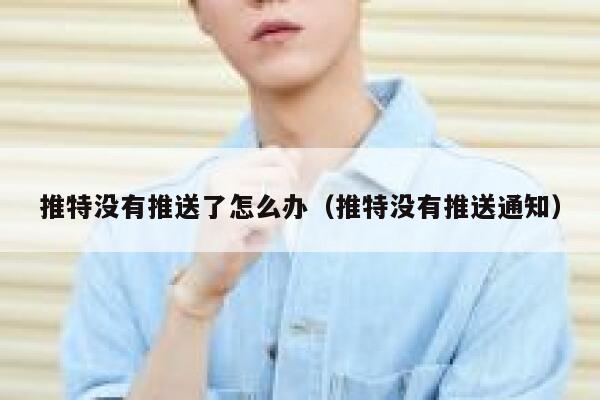 推特没有推送了怎么办（推特没有推送通知） 第1张