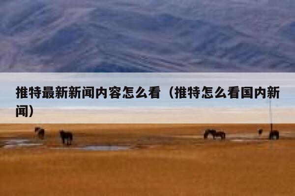 推特最新新闻内容怎么看（推特怎么看国内新闻） 第1张