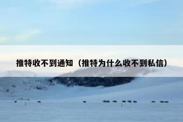 推特收不到通知（推特为什么收不到私信） 第1张