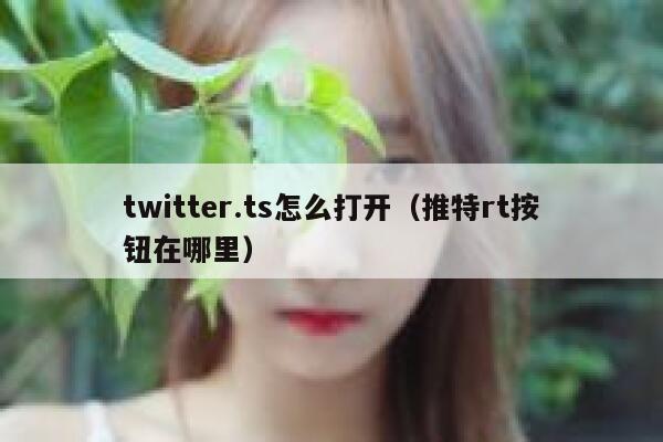 twitter.ts怎么打开（推特rt按钮在哪里） 第1张
