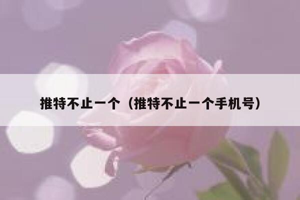 推特不止一个（推特不止一个手机号） 第1张