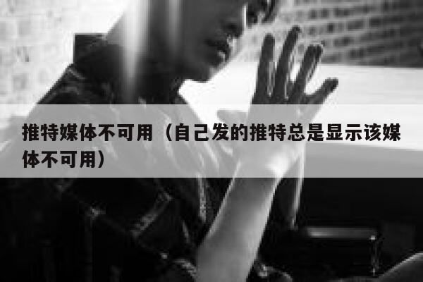 推特媒体不可用（自己发的推特总是显示该媒体不可用） 第1张