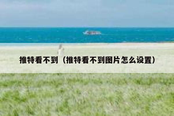 推特看不到（推特看不到图片怎么设置） 第1张