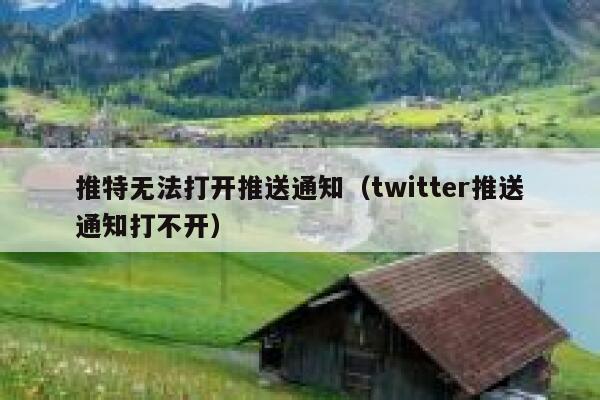 推特无法打开推送通知（twitter推送通知打不开） 第1张