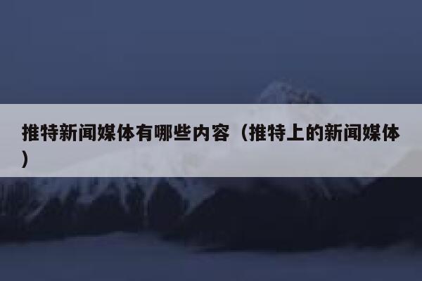 推特新闻媒体有哪些内容（推特上的新闻媒体） 第1张