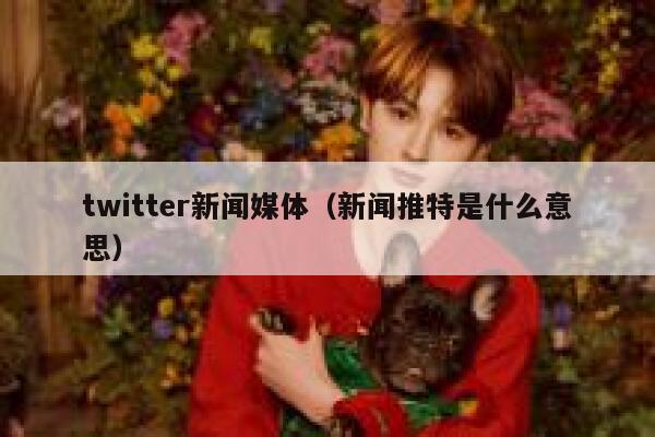 twitter新闻媒体（新闻推特是什么意思） 第1张