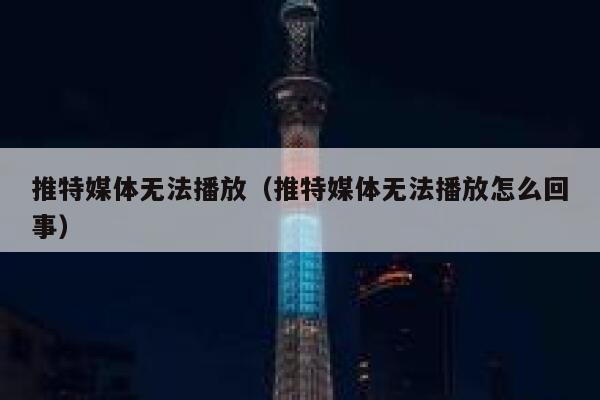 推特媒体无法播放（推特媒体无法播放怎么回事） 第1张