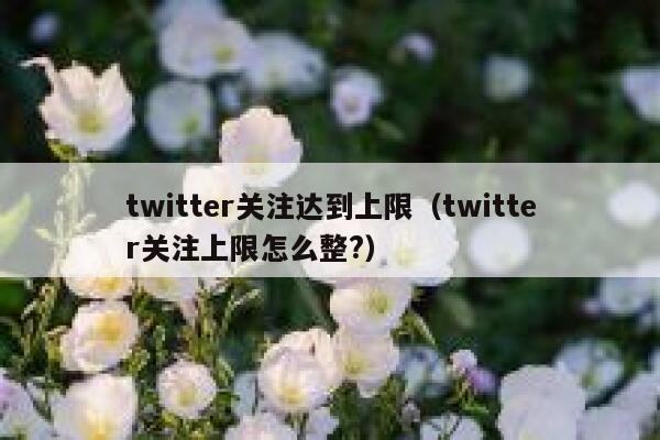 twitter关注达到上限（twitter关注上限怎么整?） 第1张