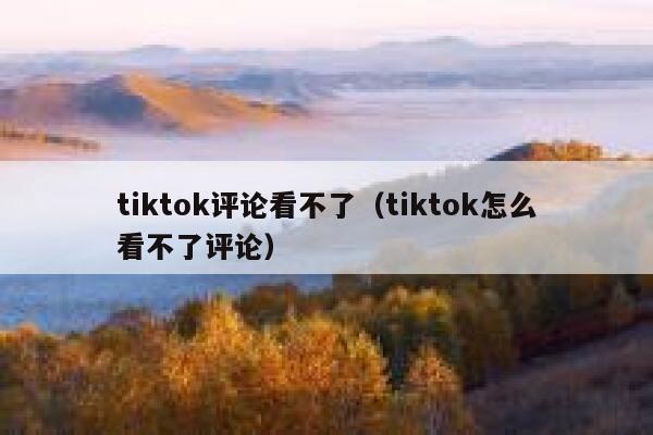 tiktok评论看不了（tiktok怎么看不了评论） 第1张