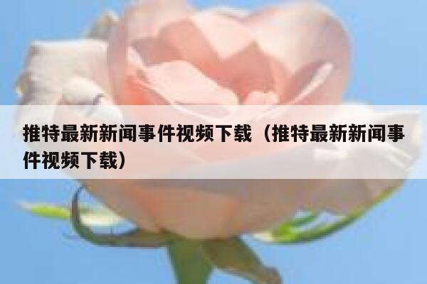 推特最新新闻事件视频下载（推特最新新闻事件视频下载） 第1张