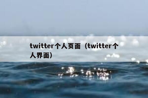 twitter个人页面（twitter个人界面） 第1张
